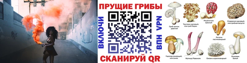 Галлюциногенные грибы Psilocybe  Купить где  Полтавская 